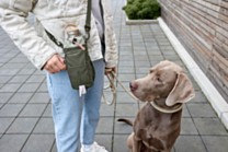 Palopa Boudi 2-in-1  Treat Bag & Bottle Holder Dark Green
