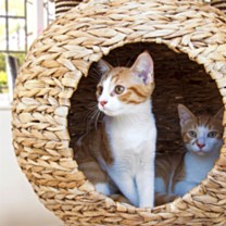 Great&Small Knuffel & Krab Kattenkrabpaal Globe Bed 118 x 60 x 50 cm