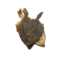 Barkie's Schol 150 g.png