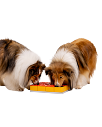 Pawzler Hondenpuzzel Denkspel Treat Maze Set 24 cm