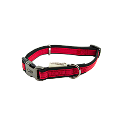 Great&Small Active Halsband Hond Neopreen Rood