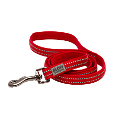 Great&Small Glow Leiband Hond Rood