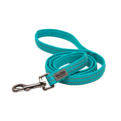 Great&Small Glow Leiband Hond Turquoise