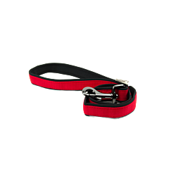 Great&Small Active Leiband Hond Neopreen Rood