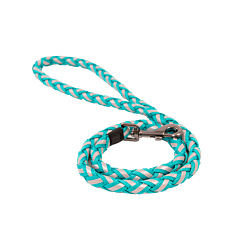 Great&Small Glow Gevlochten Leiband Hond Turquoise 100 cm