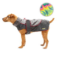 Great&Small Active Reflecterende Regenjas Hond Rode Bies