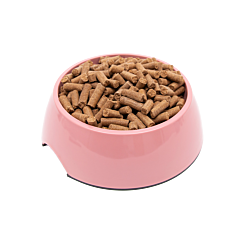Great&Small Voerbak Hond Melamine Roze