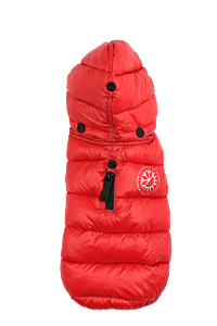 51DN Dog Winter Coat Red