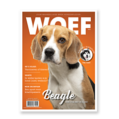WOEF Magazine - Beagle Juni 2019 NL