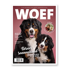 WOEF Magazine - Berner Sennenhond Augustus 2021 NL
