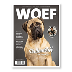 WOEF Magazine - Bullmastiff November 2021