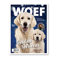 WOEF Magazine - Golden retriever Januari 2022 NL