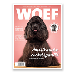 WOEF Magazine - Amerikaanse cockerspaniël Oktober 2022