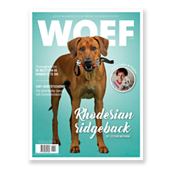 WOEF Magazine - Rhodesian ridgeback November 2022
