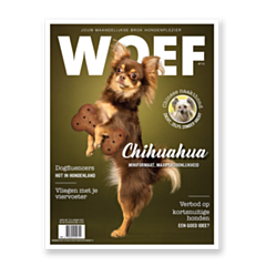 WOEF Magazine - Chihuahua Maart 2023