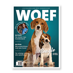 WOEF Magazine - Beagle Januari 2024