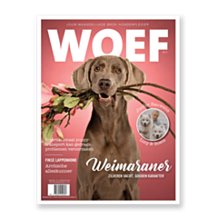 WOEF Magazine - Weimaraner Februari 2024 NL