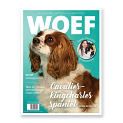 WOEF Magazine - Cavalier-kingcharles spaniël Augustus 2024