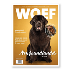 WOEF Magazine - Newfoundlander November 2024