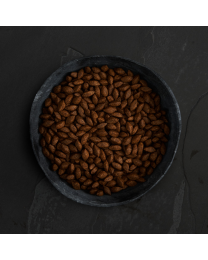 Canagan Dog food Adult Insect