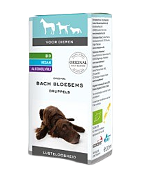 Bach Flower Listlessness 20 ml