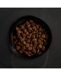 Canagan Dog food Adult Grass Fed lamb