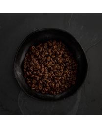 Canagan Dog food Adult Small Breed Country Game