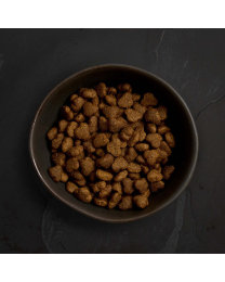 Canagan Dog food Puppy Free-range Chicken