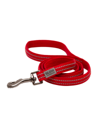 Great&Small Active Dog Lead Red