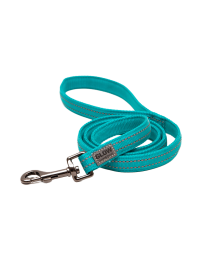 Great&Small Glow Leiband Hond Turquoise