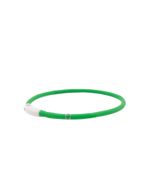 Great&Small Glow Verlichte Halsband Hond LED Oplaadbaar Groen