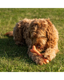 Great&Small Dog Toy Bone Natural Rubber 20 cm