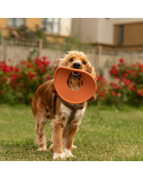 Great&Small Dog Toy Fling Ring Natural Rubber 21,5 cm