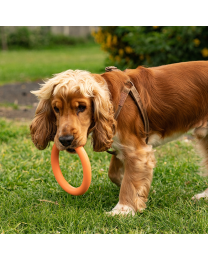 Great&Small Dog Toy Ring Natural Rubber 15 cm