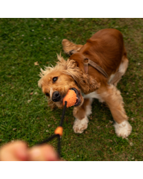 Great&Small Dog Toy Ball with Rope Natural Rubber