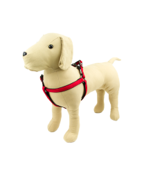 Great&Small Active Harnas Hond Neopreen Rood