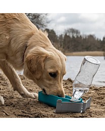 Great&Small Active Drinkfles Hond met Standaard 300 ml