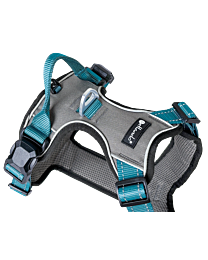 Petlando Magnetech Harness Anthracite & Petrol