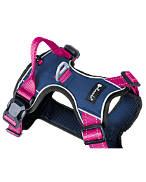 Petlando Magnetech Harness Navy & Fuchsia