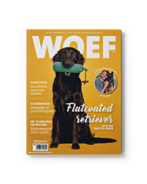 WOEF Magazine - Flatcoated Retriever Juli 2025
