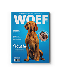 WOEF Magazine - Vizsla Augustus 2025