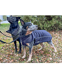 Petlando Winterjas voor Honden Lovund Marine