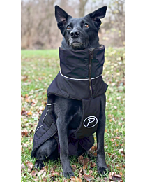 Petlando Winterjas voor Honden Lovund Zwart