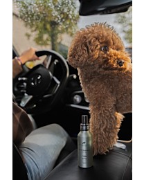 Frenky Lewis Auto- & Kussenspray Groene Thee & Bergamot 100 ml