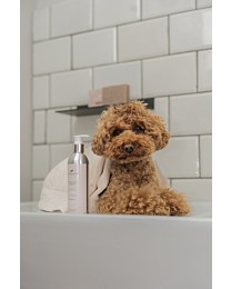 Frenky Lewis Shampoo Sandalwood, Jasmijn & Vanille 200 ml