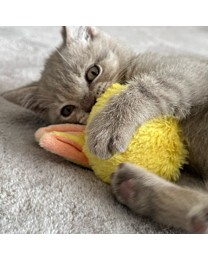 Little&Lively Cat Toy Fluffy Yellow Rattle Bunny Ball 9 cm