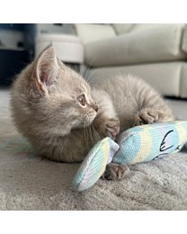 Little&Lively Kattenspeelgoed Knisper Vosje 22 cm