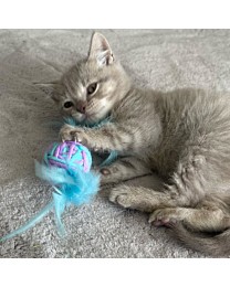 Little&Lively Cat Toy Wool Wrapped Rattle Ball 21 cm