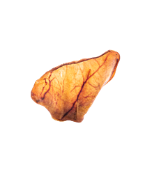 Sapido's Natuurlijke Zeugenoren 70 g