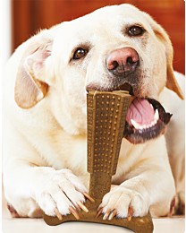 Spot Bam-Bones Dog Chew Toy Easy Grip Chicken